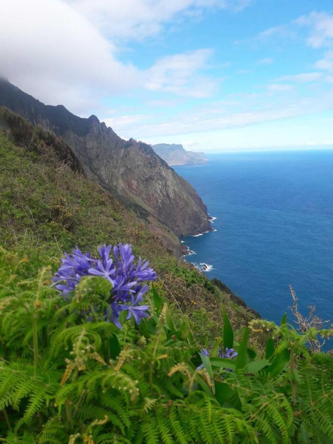 Funchal Bay View Holiday Rental المظهر الخارجي الصورة